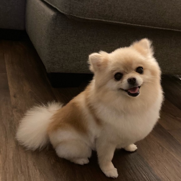 Like this to be notified of my live share shows 💕 - Picture 10 of 16